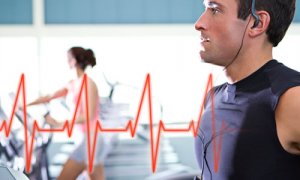Hipertensão Arterial e Exercício Físico Hipertensão Arterial e Exercício Físico